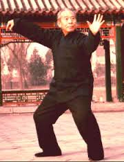 Master Wang Taiji Single Whip